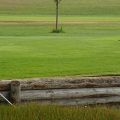 DSC01177.jpg