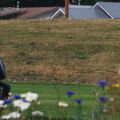 DSC_1374.jpg